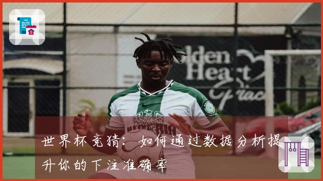 世界杯竞猜：如何通过数据分析提升你的下注准确率