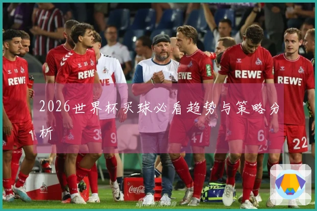 2026世界杯买球必看趋势与策略分析