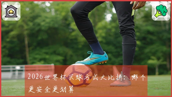 2026世界杯买球方式大比拼：哪个更安全更划算
