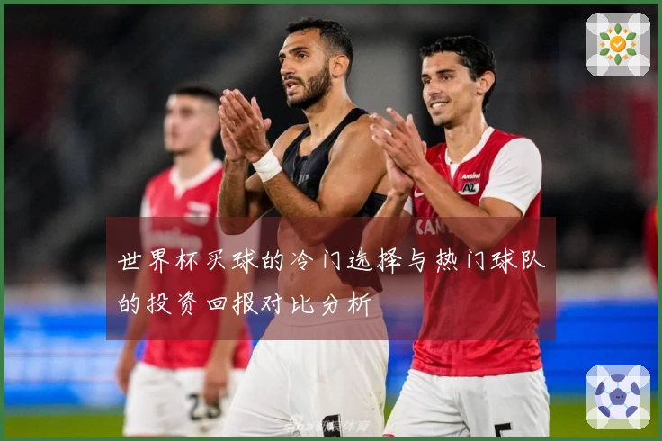 世界杯买球的冷门选择与热门球队的投资回报对比分析