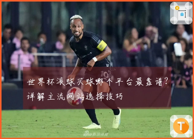 世界杯滚球买球哪个平台最靠谱？详解主流网站选择技巧
