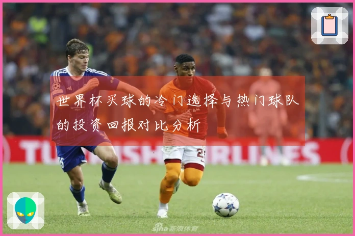 世界杯买球的冷门选择与热门球队的投资回报对比分析