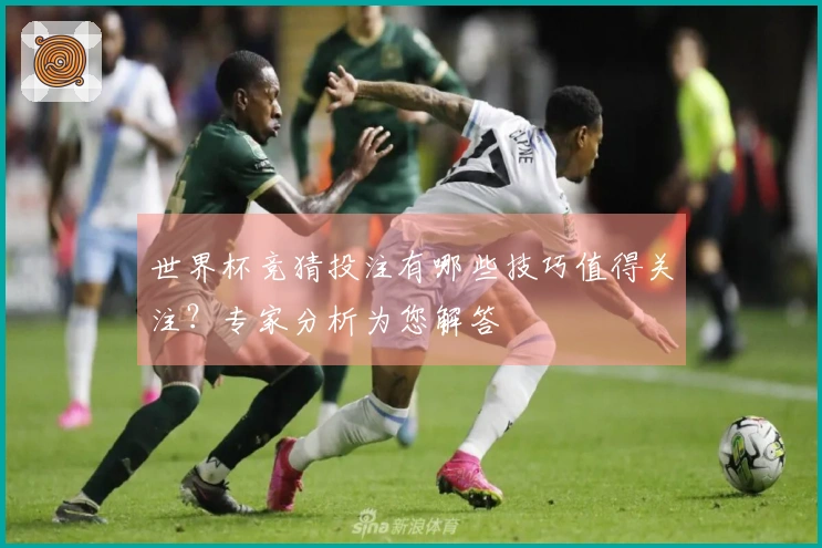 世界杯竞猜投注有哪些技巧值得关注？专家分析为您解答