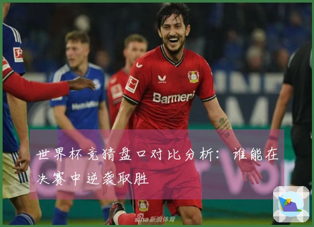 世界杯竞猜盘口对比分析：谁能在决赛中逆袭取胜