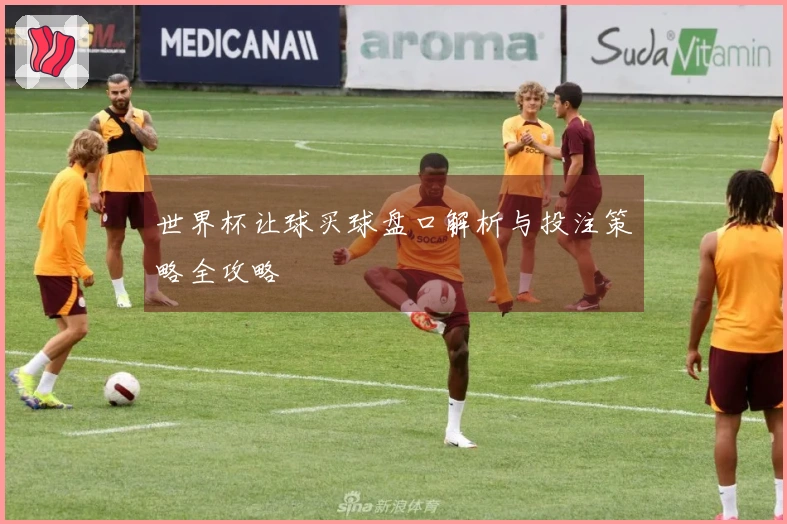 世界杯让球买球盘口解析与投注策略全攻略