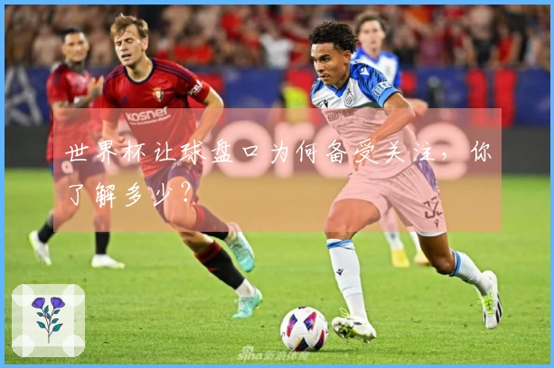 世界杯让球盘口为何备受关注，你了解多少？