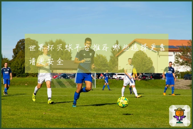 世界杯买球平台推荐 哪些选择更靠谱更安全