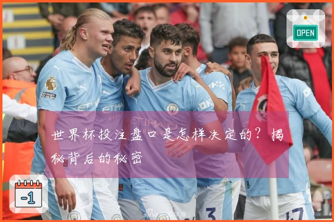 世界杯投注盘口是怎样决定的？揭秘背后的秘密