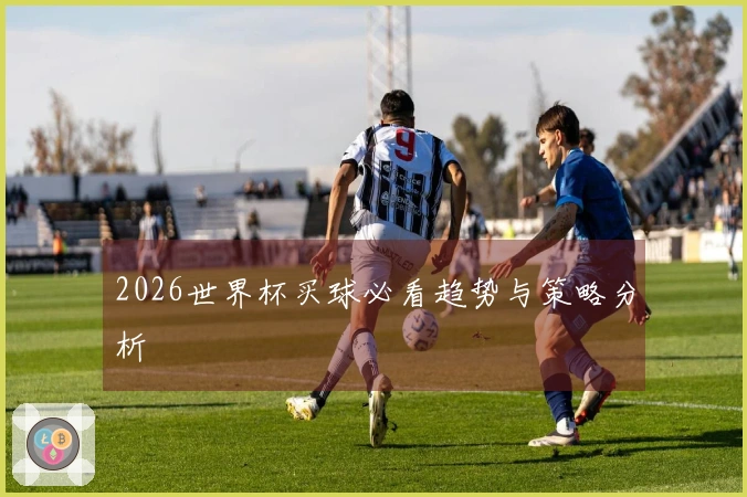 2026世界杯买球必看趋势与策略分析