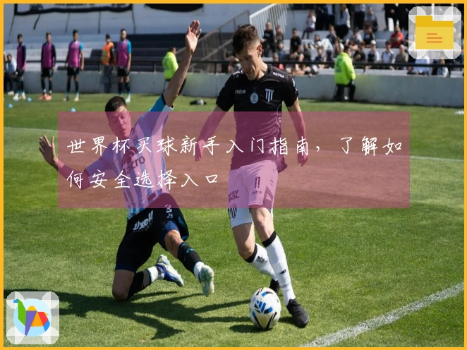 世界杯买球新手入门指南，了解如何安全选择入口