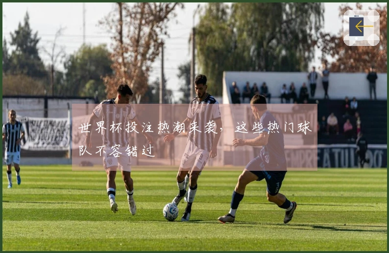 世界杯投注热潮来袭，这些热门球队不容错过