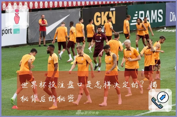 世界杯投注盘口是怎样决定的？揭秘背后的秘密