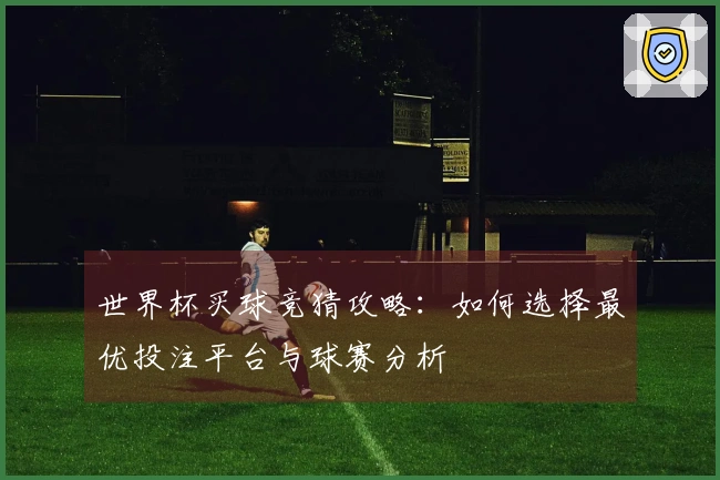 世界杯买球竞猜攻略：如何选择最优投注平台与球赛分析
