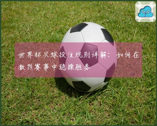 世界杯买球投注规则详解：如何在激烈赛事中稳操胜券