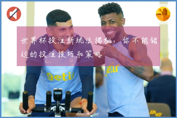 世界杯投注新玩法揭秘,你不能错过的投注技巧和策略