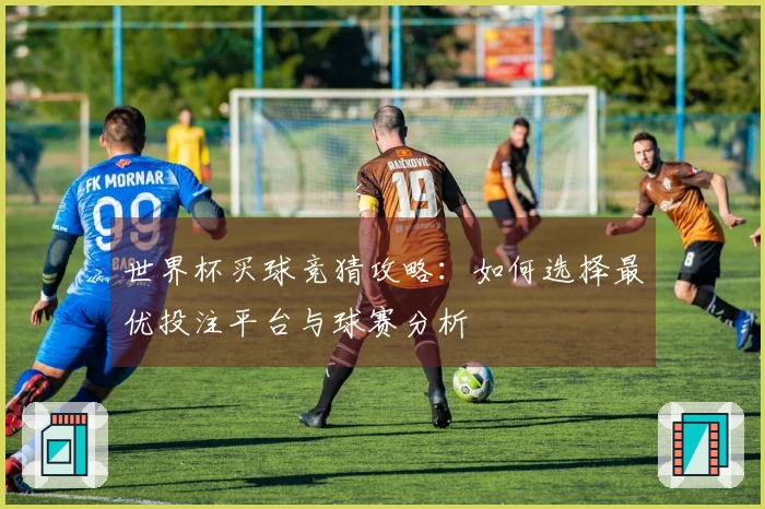 世界杯买球竞猜攻略：如何选择最优投注平台与球赛分析