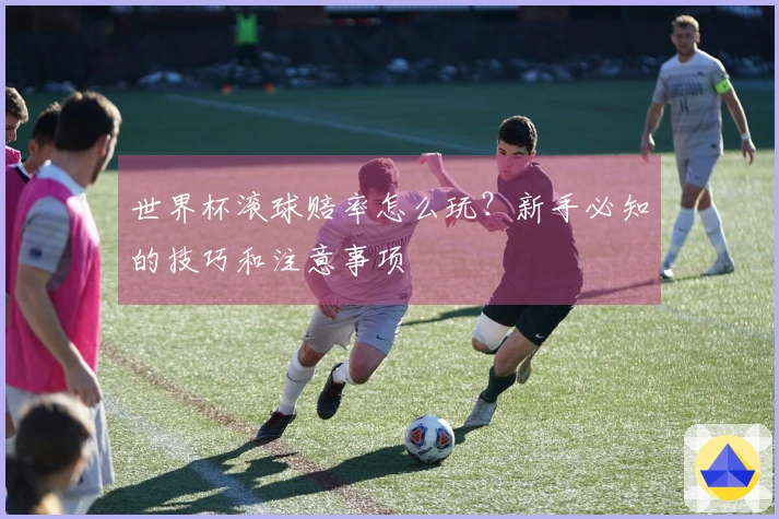 世界杯滚球赔率怎么玩？新手必知的技巧和注意事项